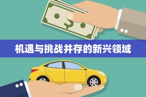 铁东机遇与挑战并存的新兴领域