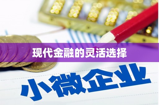 水城现代金融的灵活选择