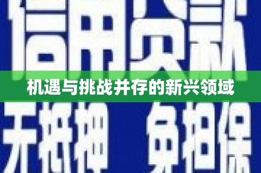 荆州机遇与挑战并存的新兴领域