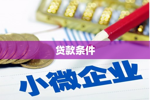 武川贷款条件
