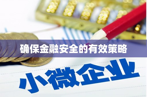海原确保金融安全的有效策略