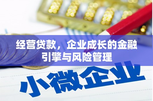 武侯经营贷款，企业成长的金融引擎与风险管理