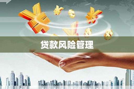 宝山贷款风险管理